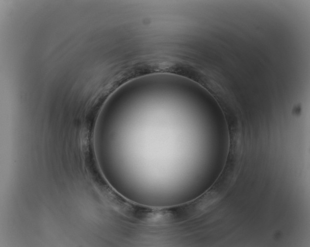 X0000112900274200908281733