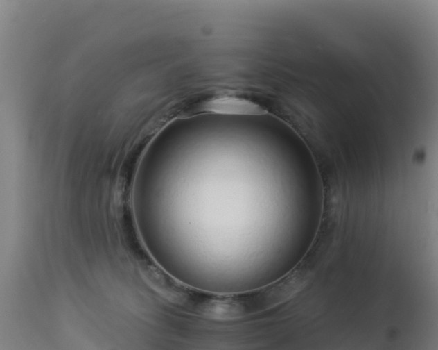 X0000112900275200908281733