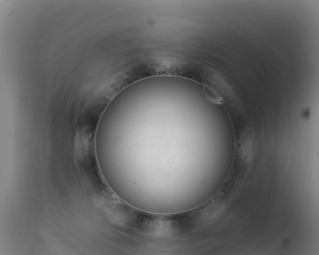 X0000112900276200908281733