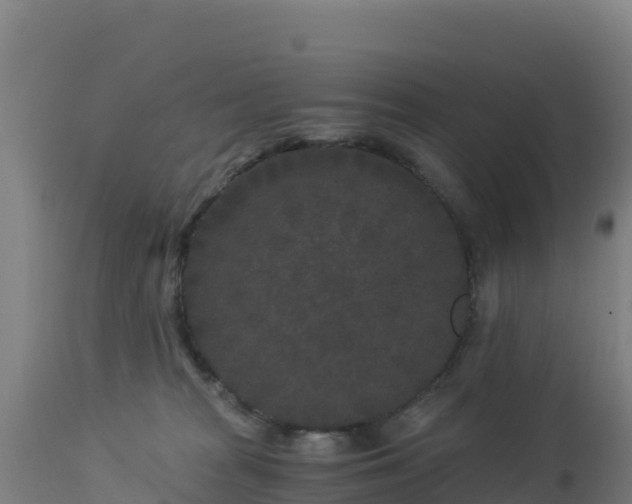 X0000112900277200908281733