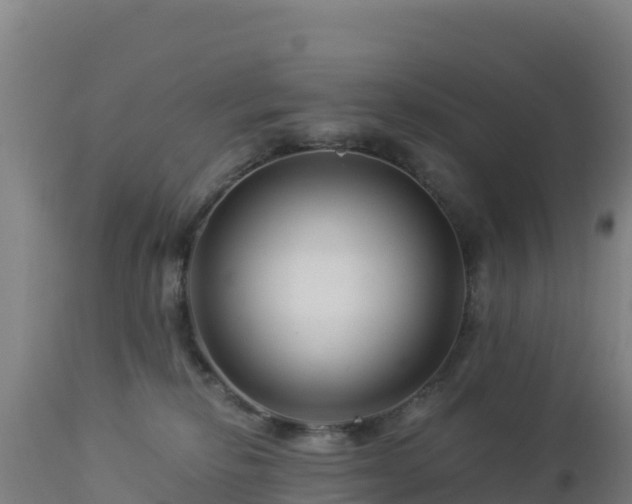 X0000112900278200908281733