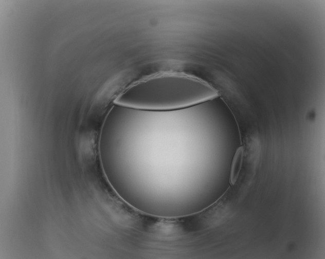 X0000112900280200908281733