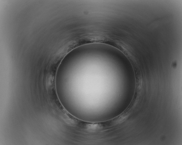 X0000112900281200908281733