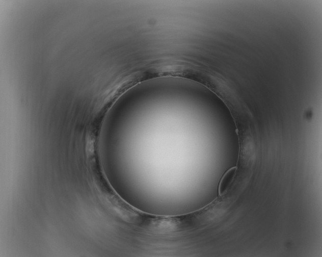 X0000112900282200908281733