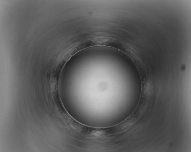 X0000112900283200908281733