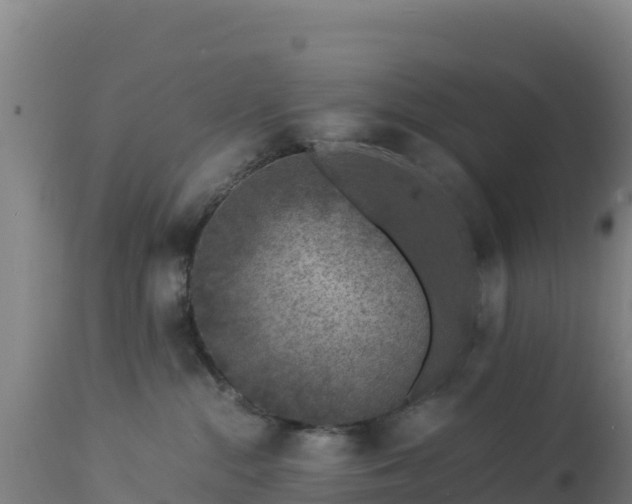 X0000112900284200908281733