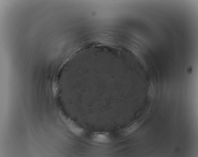 X0000112900285200908281733