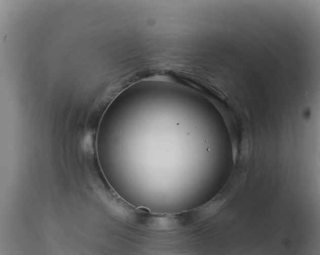 X0000112900286200908281733