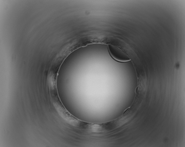 X0000112900287200908281733