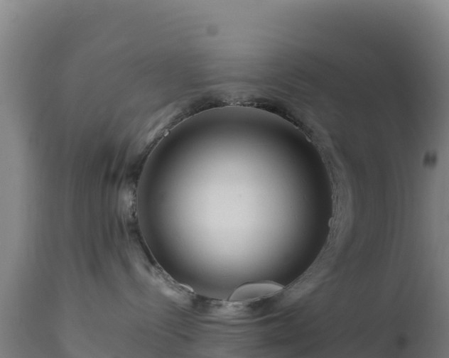 X0000112900288200908281733