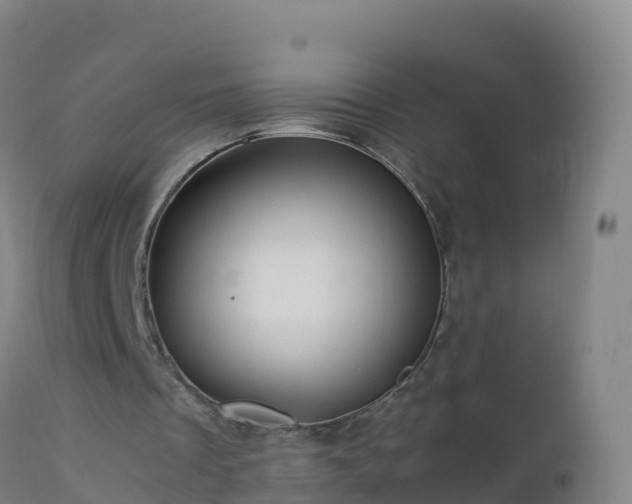 X0000112900289200908281732