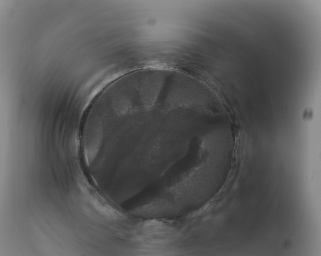 X0000112900290200908281732