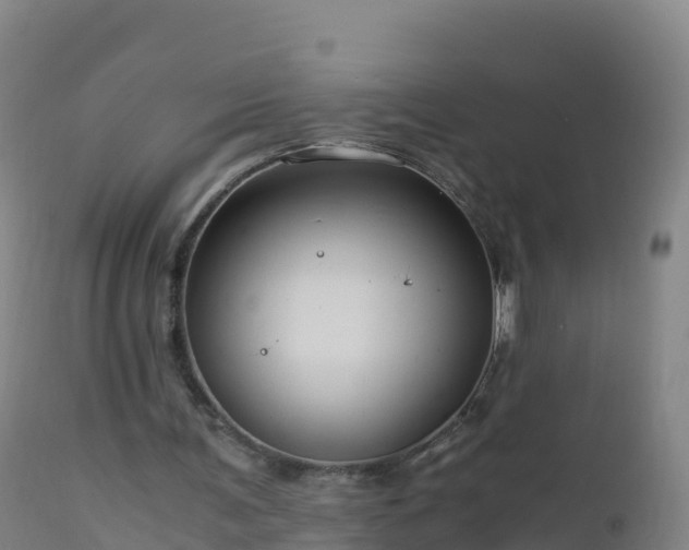 X0000112900291200908281732