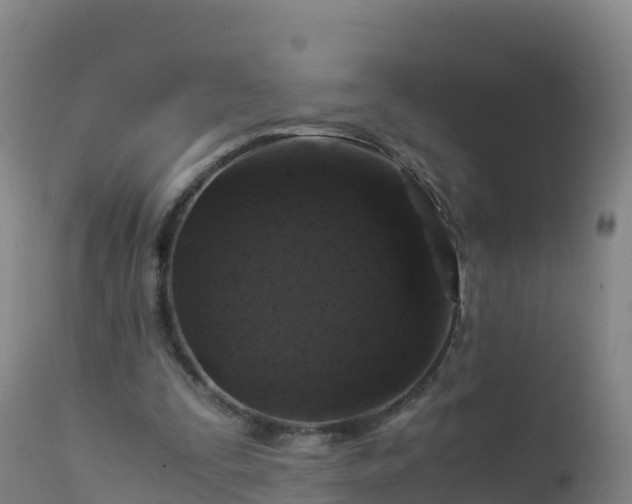 X0000112900295200908281732