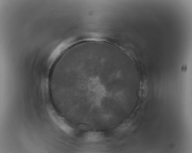 X0000112900296200908281732