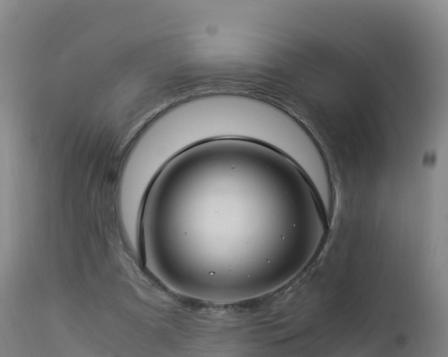 X0000112900297200908281732