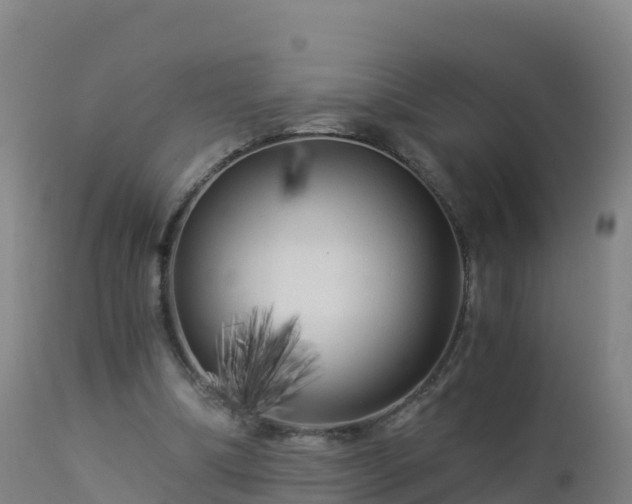 X0000112900298200908281732