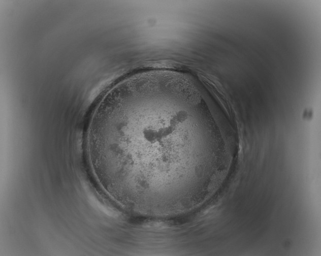 X0000112900299200908281732