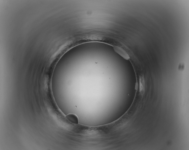 X0000112900300200908281732