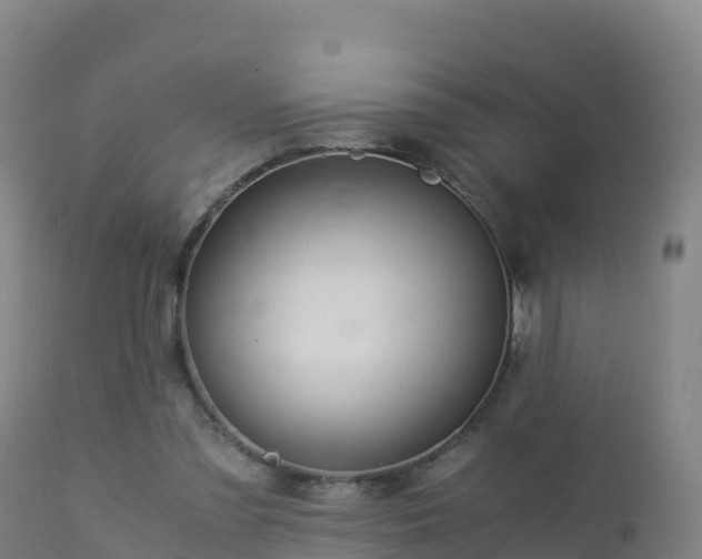 X0000112900301200908281732