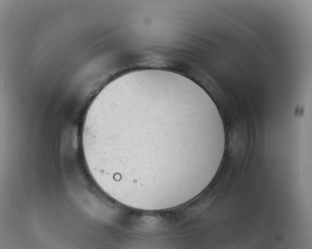 X0000112900302200908281732