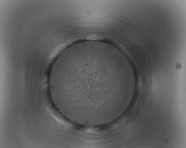 X0000112900303200908281732