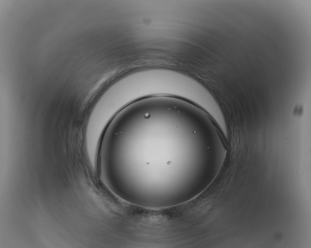 X0000112900304200908281732