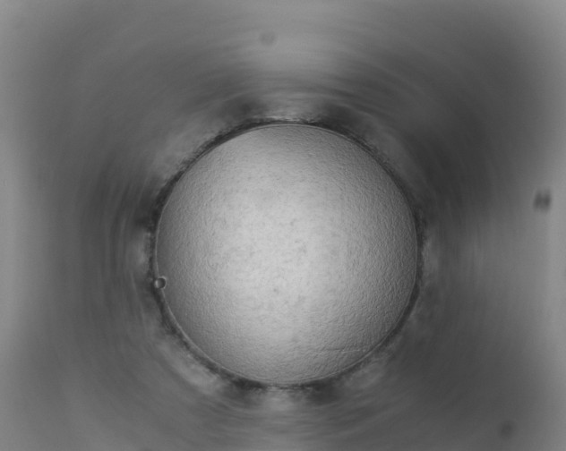 X0000112900305200908281732