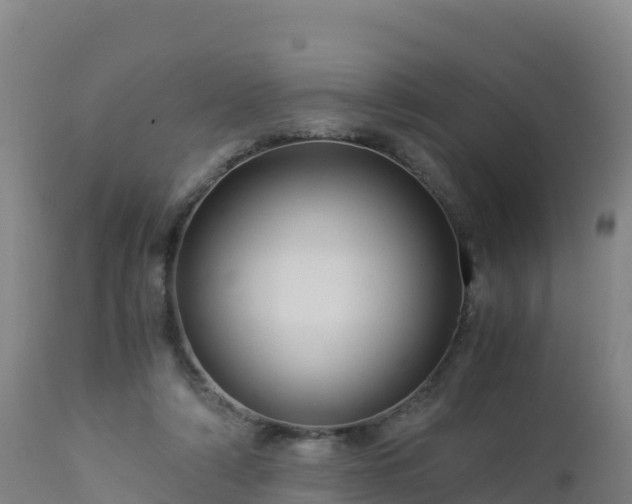 X0000112900306200908281732