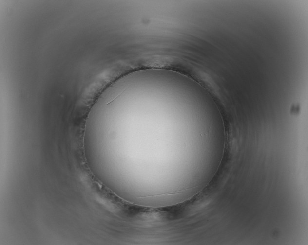 X0000112900307200908281732