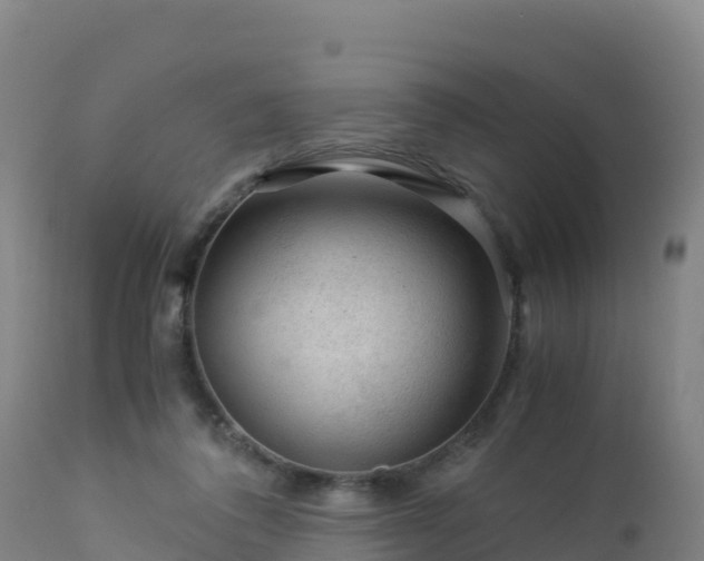 X0000112900308200908281732