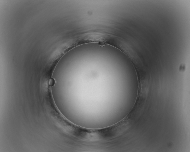 X0000112900309200908281732