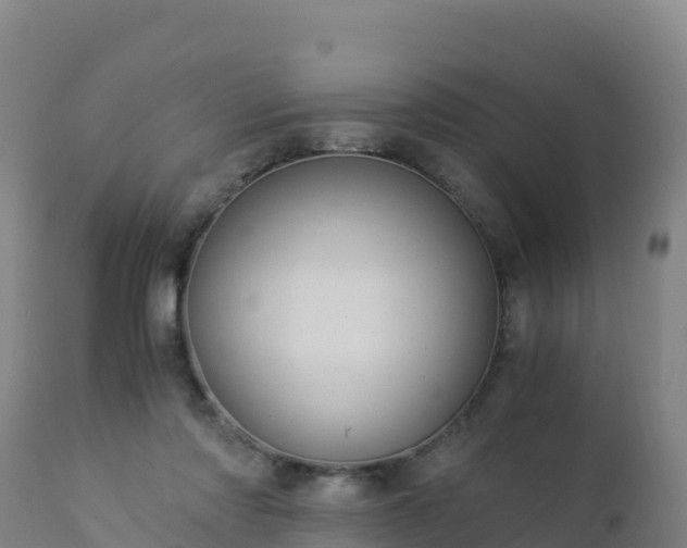 X0000112900310200908281732