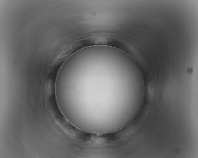 X0000112900311200908281732