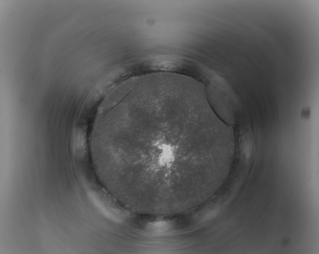 X0000112900312200908281732