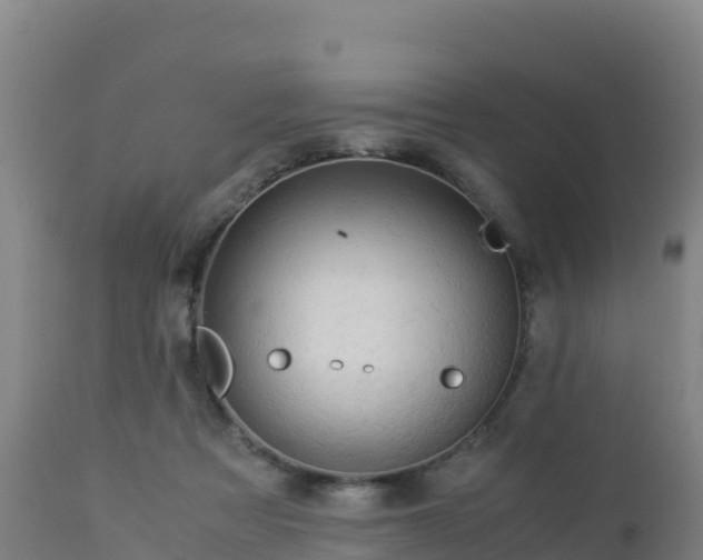 X0000112900313200908281732