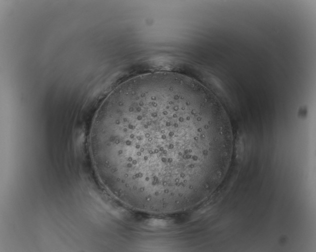 X0000112900314200908281732
