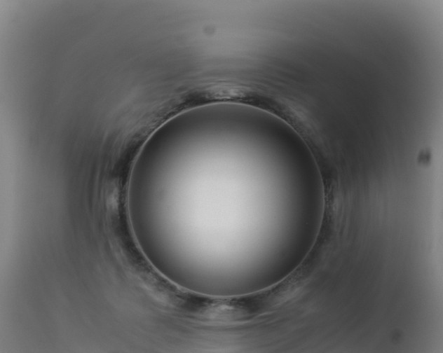 X0000112900315200908281732