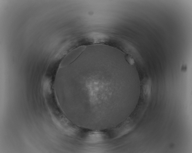 X0000112900316200908281732