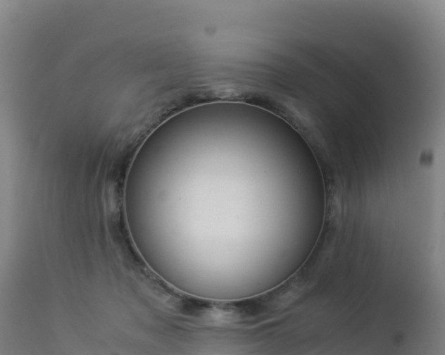 X0000112900317200908281732