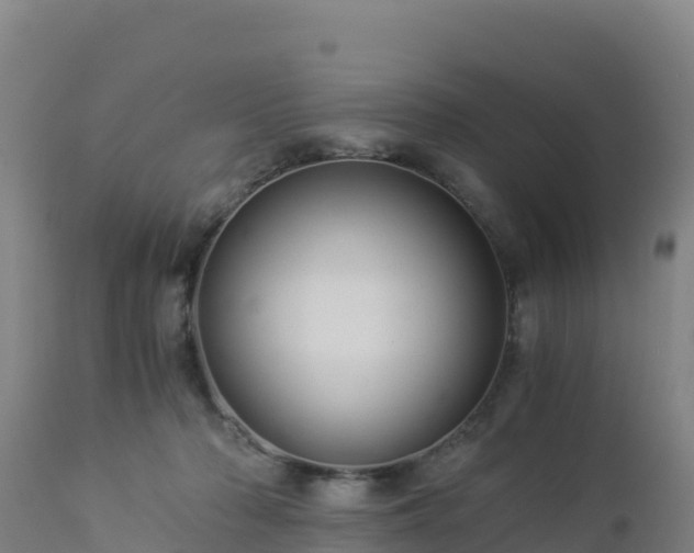 X0000112900318200908281732