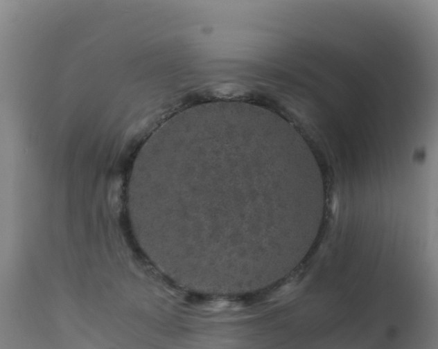 X0000112900319200908281732