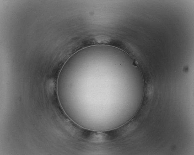 X0000112900321200908281732