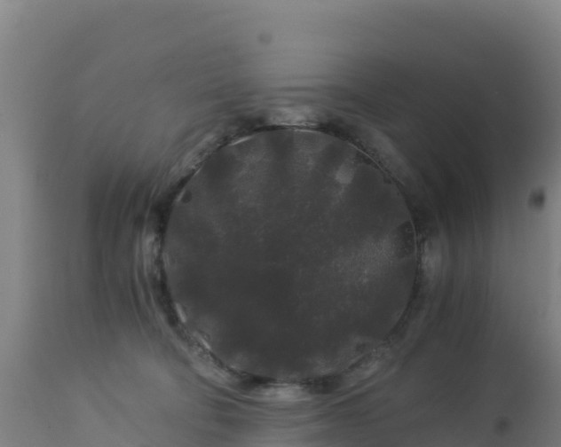 X0000112900322200908281731