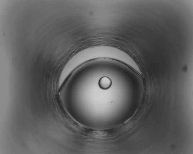 X0000112900328200908281731