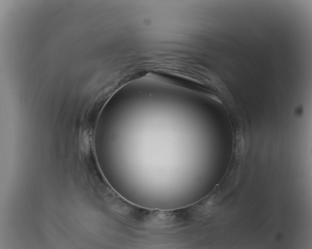 X0000112900329200908281731