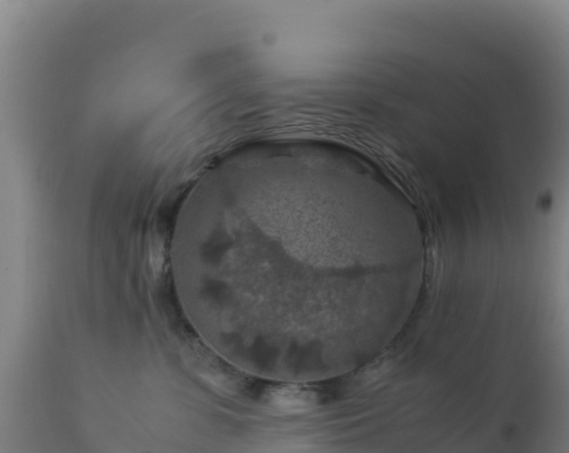 X0000112900331200908281731