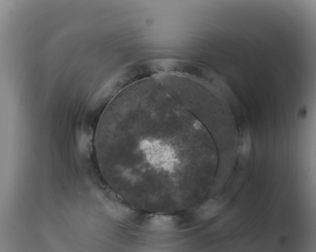 X0000112900332200908281731