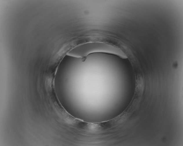 X0000112900333200908281731