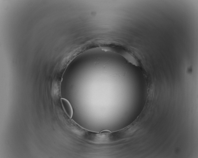 X0000112900335200908281731